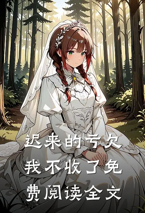 迟来的亏欠，我不收了免费阅读全文