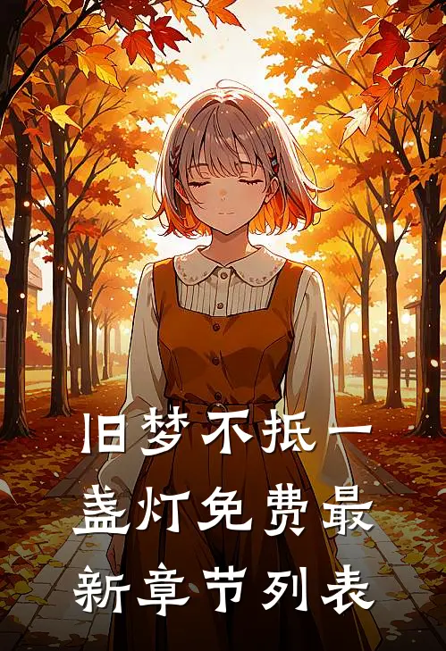 旧梦不抵一盏灯免费最新章节列表