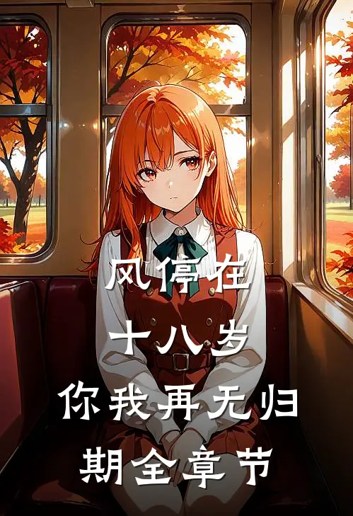 风停在十八岁，你我再无归期全章节