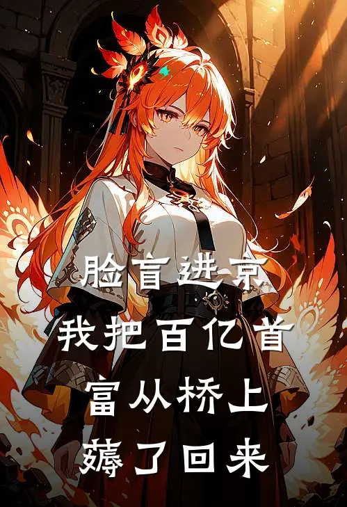 脸盲进京：我把百亿首富从桥上薅了回来