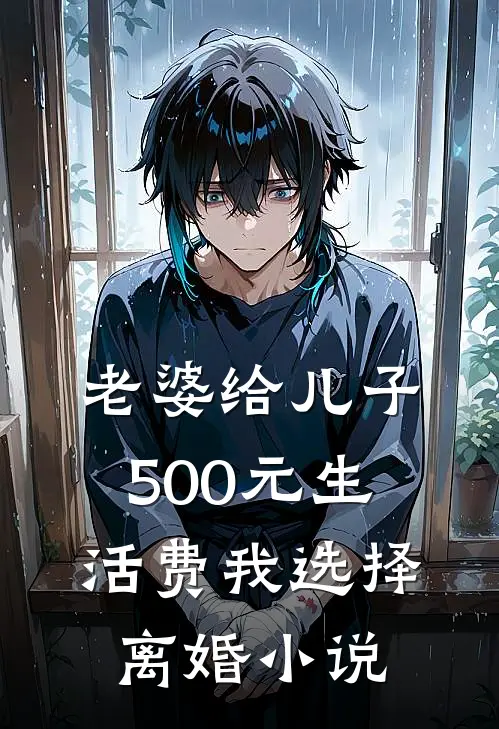老婆给儿子500元生活费我选择离婚小说