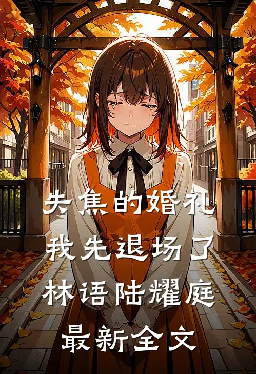 失焦的婚礼，我先退场了林语陆耀庭最新全文