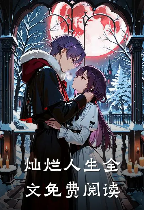 灿烂人生全文免费阅读