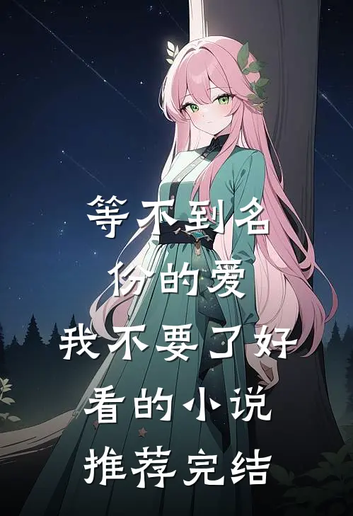 等不到名份的爱，我不要了好看的小说推荐完结