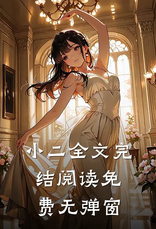 小二全文完结阅读免费无弹窗