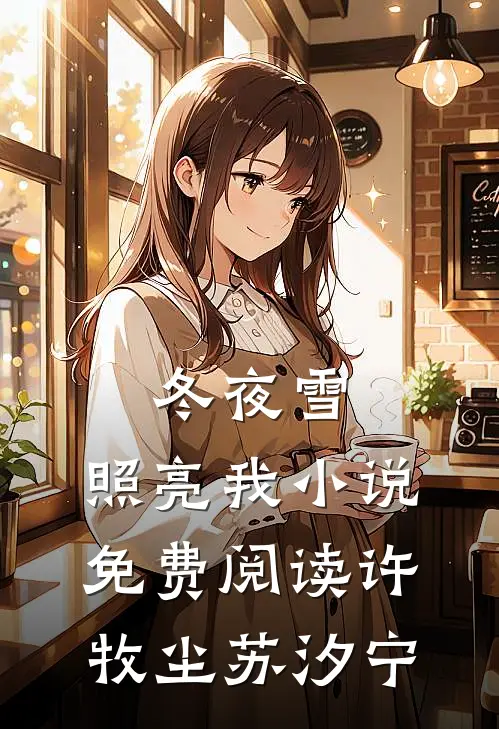 冬夜雪，照亮我小说免费阅读许牧尘苏汐宁