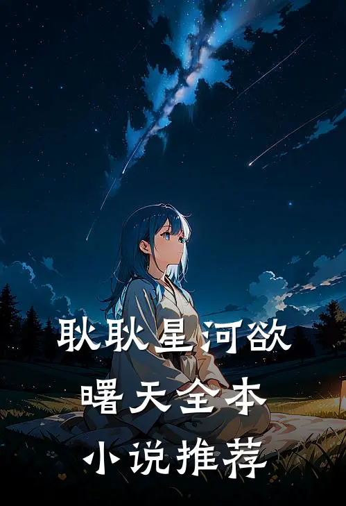 耿耿星河欲曙天全本小说推荐