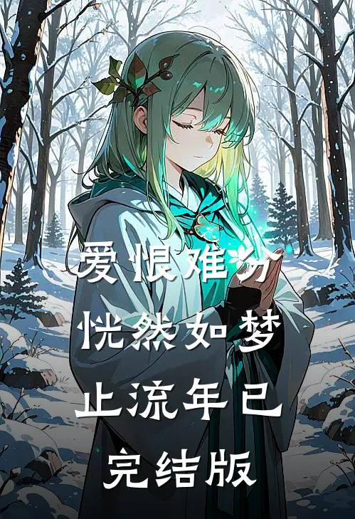 爱恨难分，恍然如梦止流年已完结版