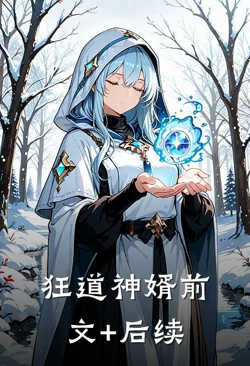 狂道神婿前文+后续