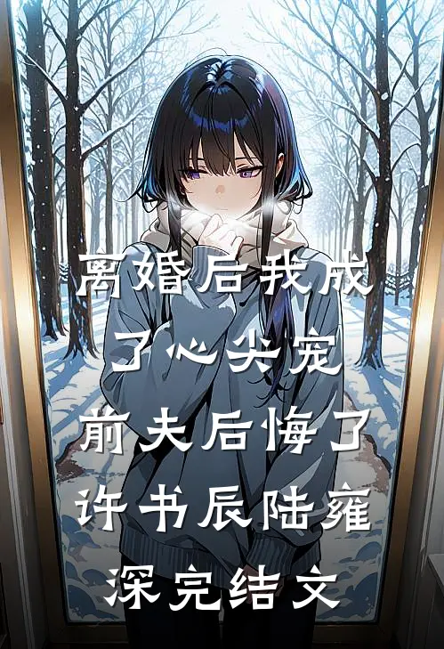 离婚后我成了心尖宠，前夫后悔了许书辰陆雍深完结文