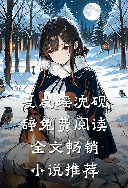 夏之瑶沈砚辞免费阅读全文畅销小说推荐