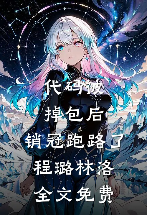 代码被掉包后，销冠跑路了程璐林洛全文免费
