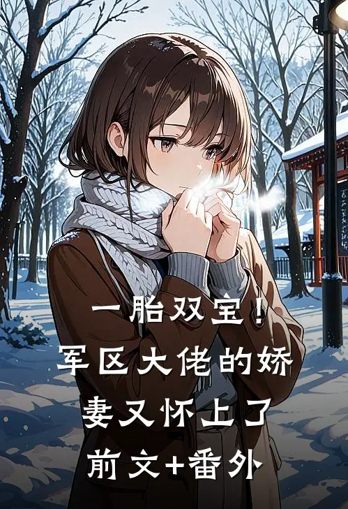 一胎双宝！军区大佬的娇妻又怀上了前文+番外
