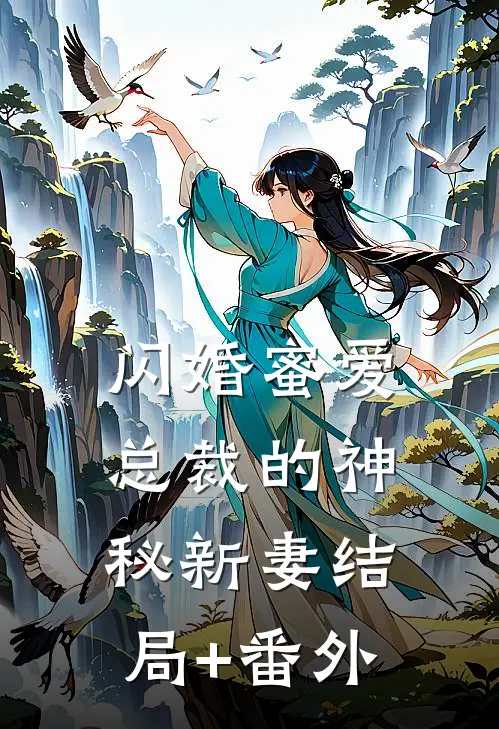 闪婚蜜爱：总裁的神秘新妻结局+番外