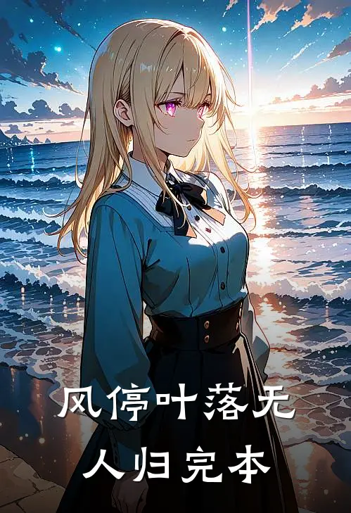 风停叶落无人归完本