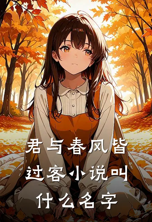 君与春风皆过客小说叫什么名字