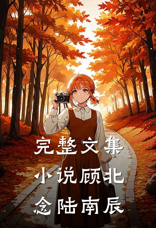 完整文集小说顾北念陆南辰