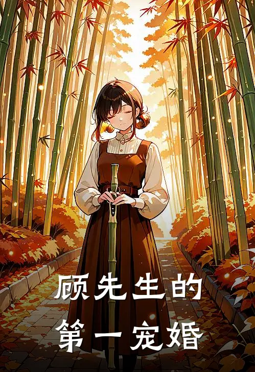 顾先生的第一宠婚