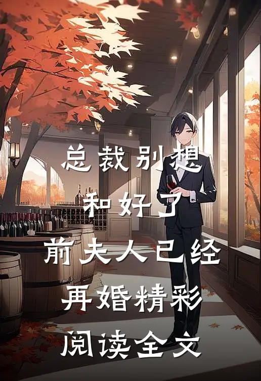 总裁别想和好了，前夫人已经再婚精彩阅读全文