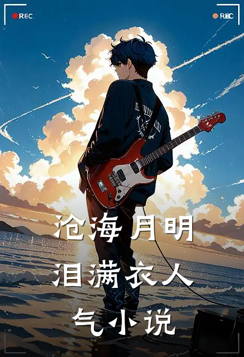 沧海月明泪满衣人气小说