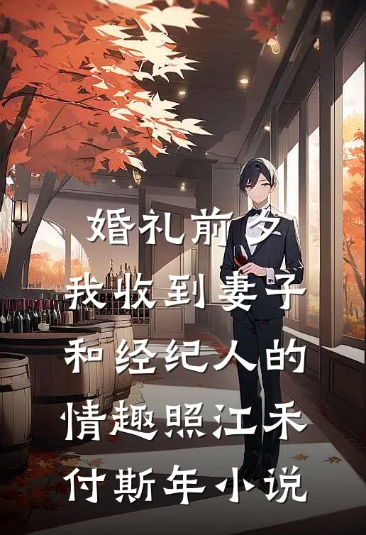 婚礼前夕,我收到妻子和经纪人的情趣照江禾付斯年小说