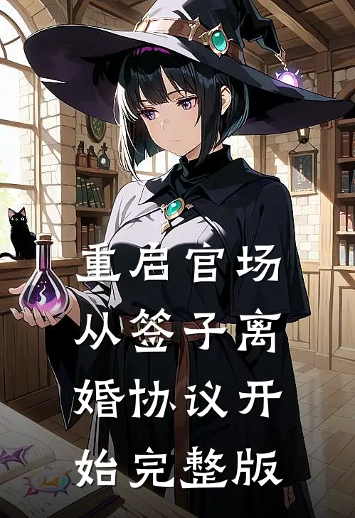 重启官场：从签子离婚协议开始完整版