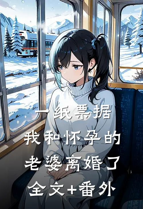 一纸票据，我和怀孕的老婆离婚了全文+番外