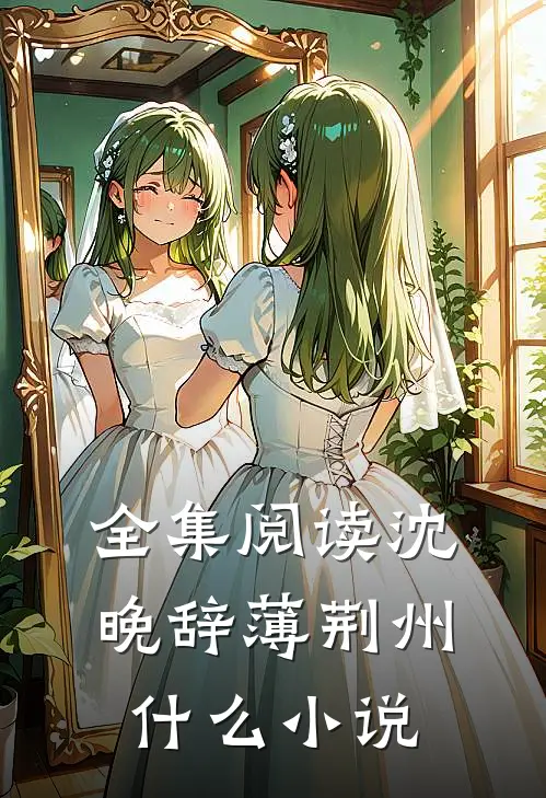全集阅读沈晚辞薄荆州什么小说