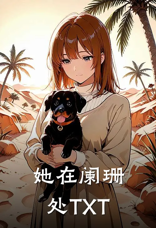 她在阑珊处TXT