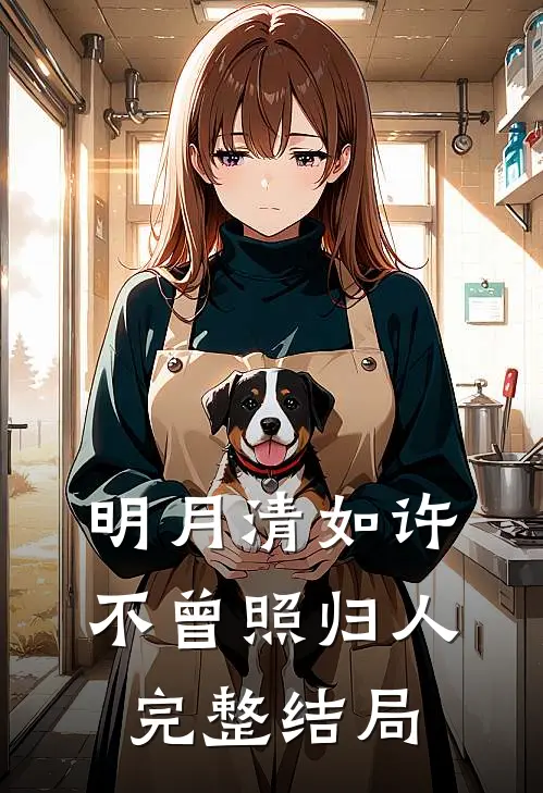 明月清如许，不曾照归人完整结局