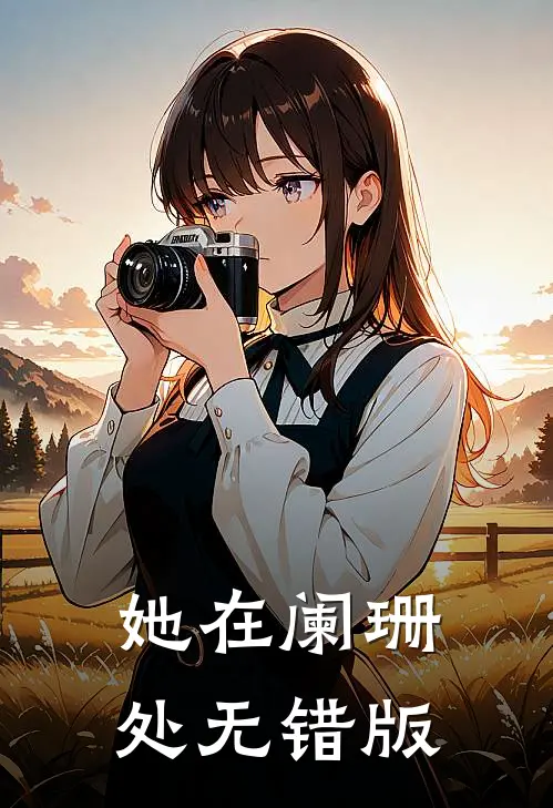 她在阑珊处无错版
