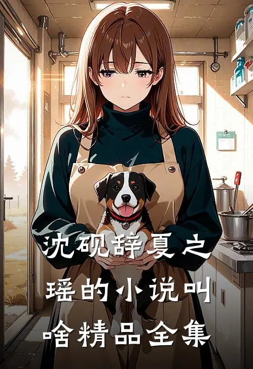 沈砚辞夏之瑶的小说叫啥精品全集