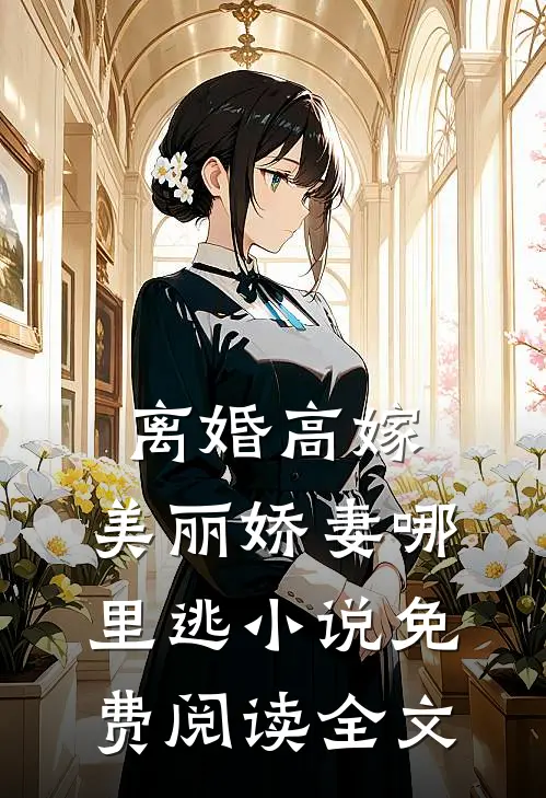 离婚高嫁：美丽娇妻哪里逃小说免费阅读全文