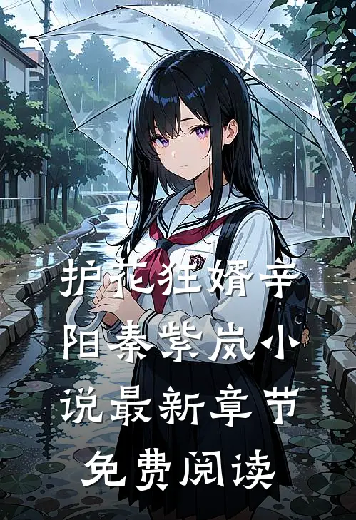 护花狂婿辛阳秦紫岚小说最新章节免费阅读