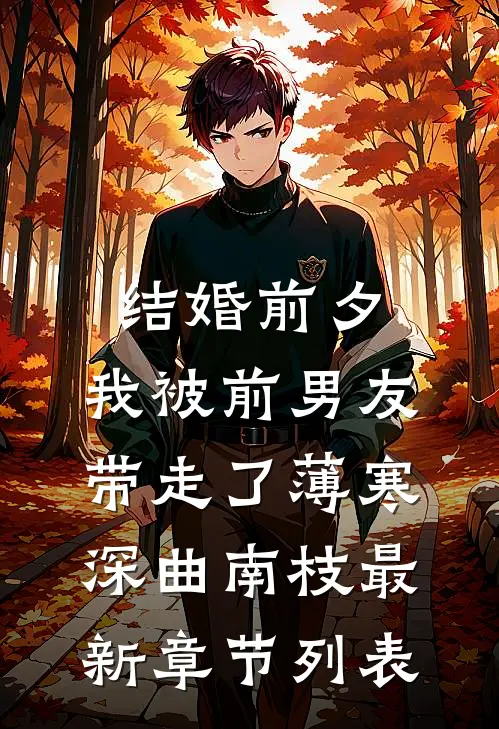 结婚前夕，我被前男友带走了薄寒深曲南枝最新章节列表