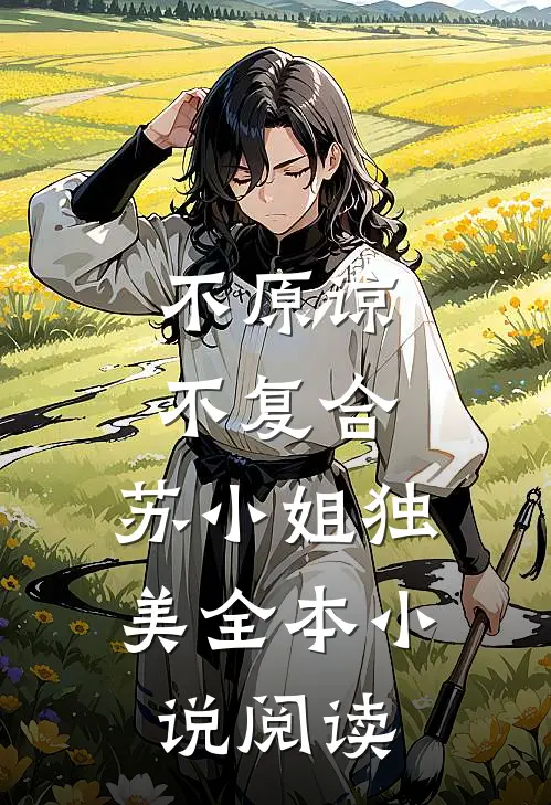 不原谅，不复合，苏小姐独美全本小说阅读
