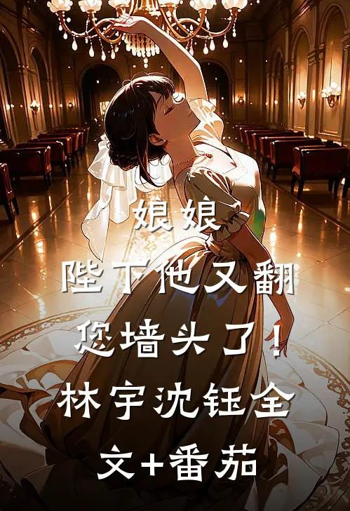 娘娘，陛下他又翻您墙头了！林宇沈钰全文+番茄