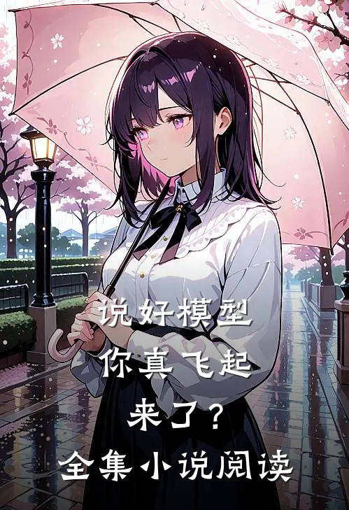 说好模型，你真飞起来了？全集小说阅读
