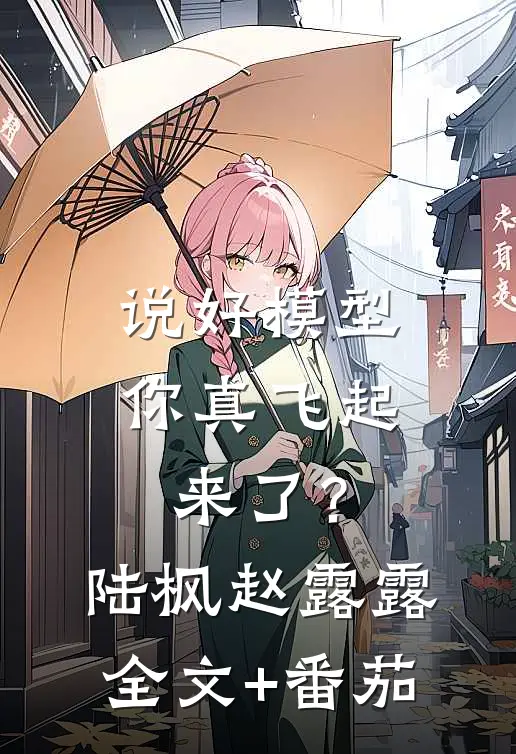 说好模型，你真飞起来了？陆枫赵露露全文+番茄