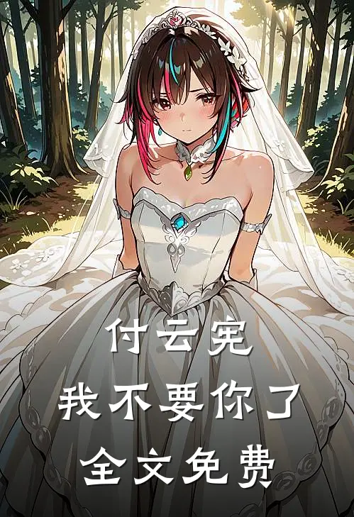 付云宪，我不要你了全文免费