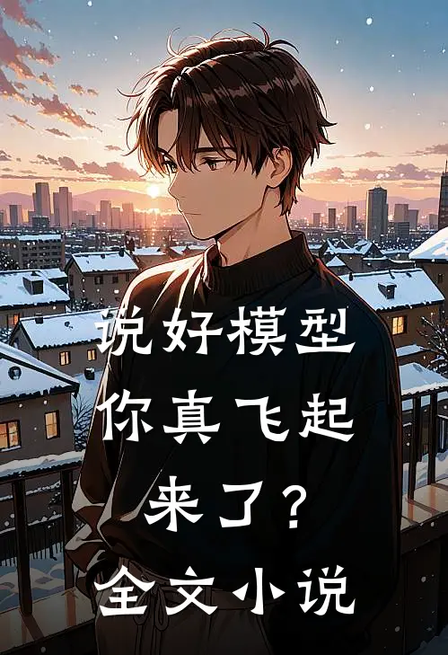 说好模型，你真飞起来了？全文小说
