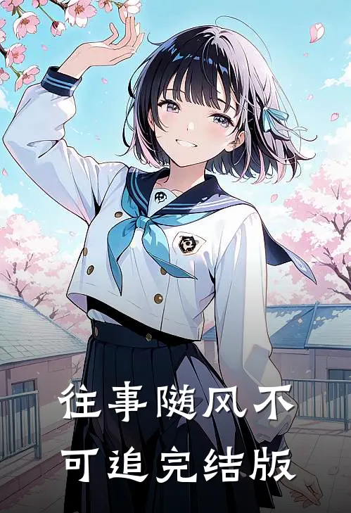 往事随风不可追完结版