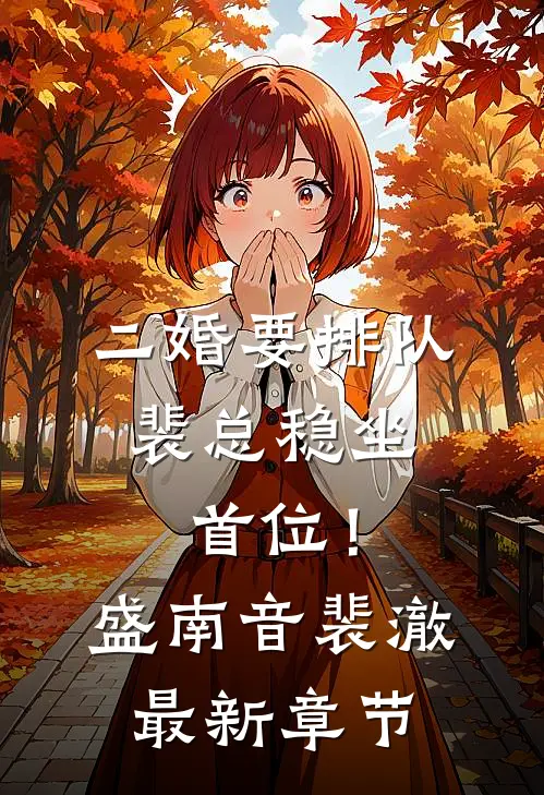 二婚要排队，裴总稳坐首位！盛南音裴澈最新章节
