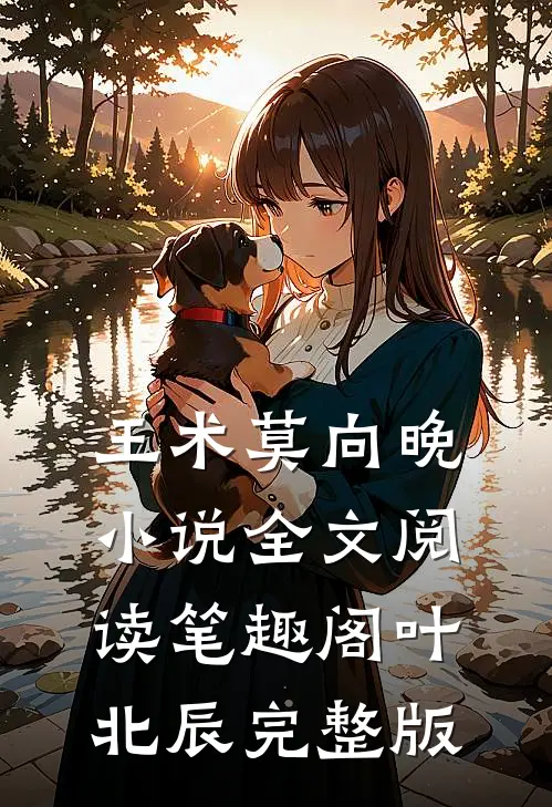 王术莫向晚小说全文阅读笔趣阁叶北辰完整版