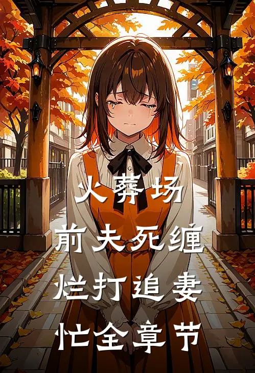 火葬场：前夫死缠烂打追妻忙全章节