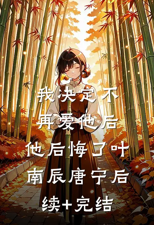 我决定不再爱他后，他后悔了叶南辰唐宁后续+完结