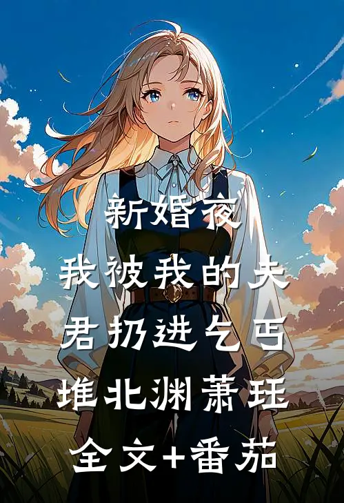 新婚夜，我被我的夫君扔进乞丐堆北渊萧珏全文+番茄