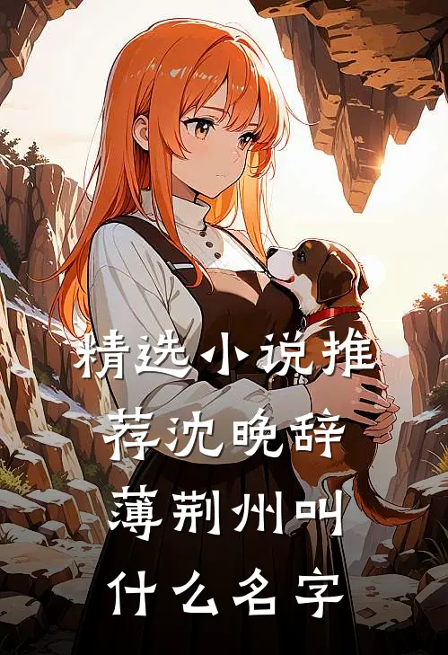精选小说推荐沈晚辞薄荆州叫什么名字