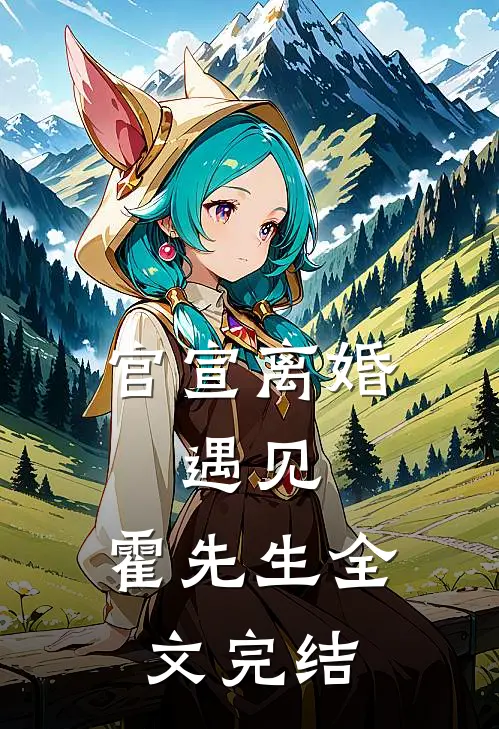 官宣离婚：遇见，霍先生全文完结