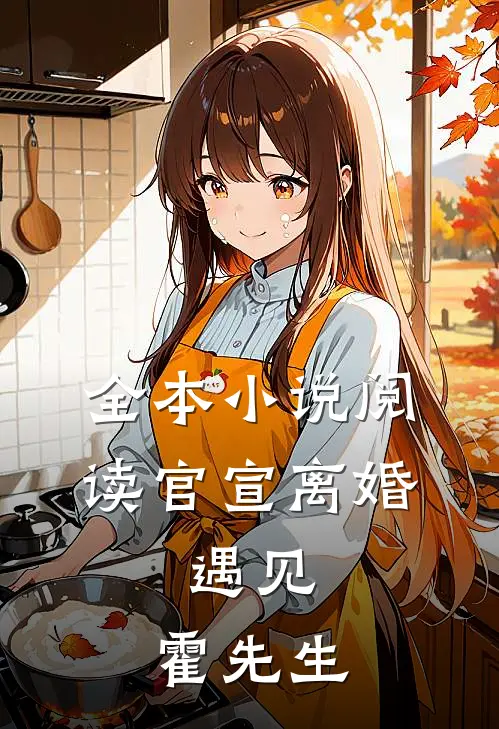 全本小说阅读官宣离婚:遇见,霍先生